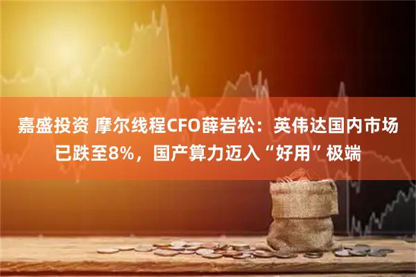 嘉盛投资 摩尔线程CFO薛岩松：英伟达国内市场已跌至8%，国产算力迈入“好用”极端