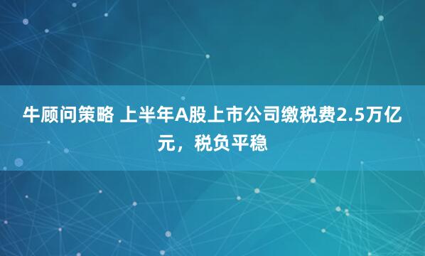 牛顾问策略 上半年A股上市公司缴税费2.5万亿元，税负平稳