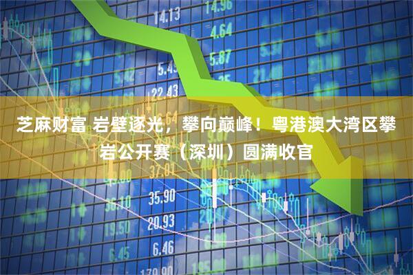 芝麻财富 岩壁逐光，攀向巅峰！粤港澳大湾区攀岩公开赛（深圳）圆满收官