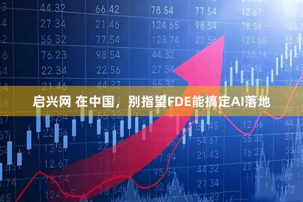启兴网 在中国，别指望FDE能搞定AI落地